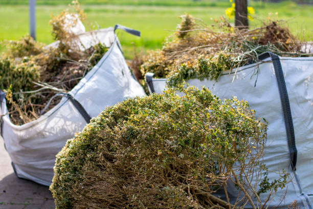 Best Residential Junk Removal  in Swartz Creek, MI